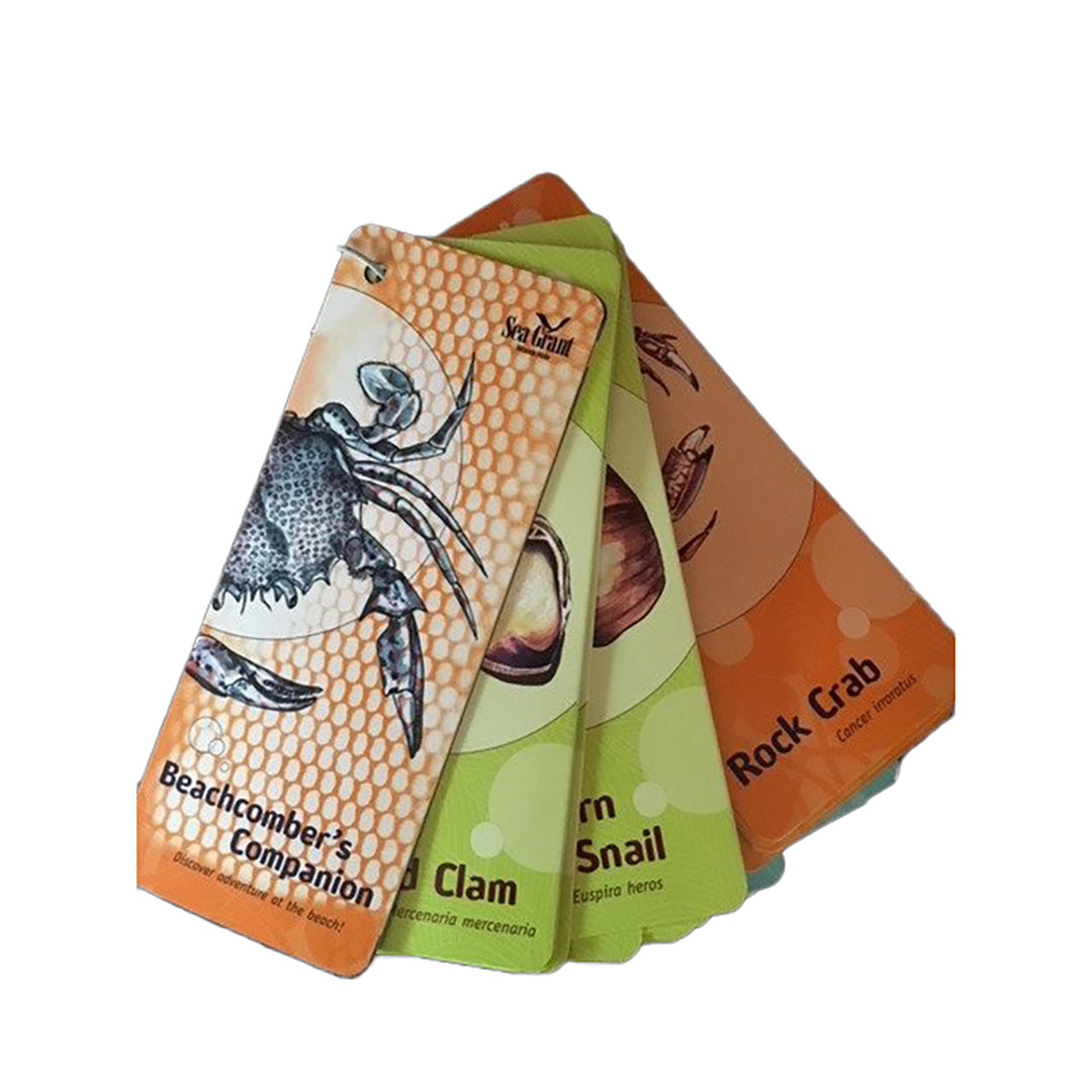 Companion Cards Woods Hole Oceanographic Institution