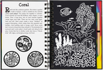 Coral Reefs Scratch and Sketch