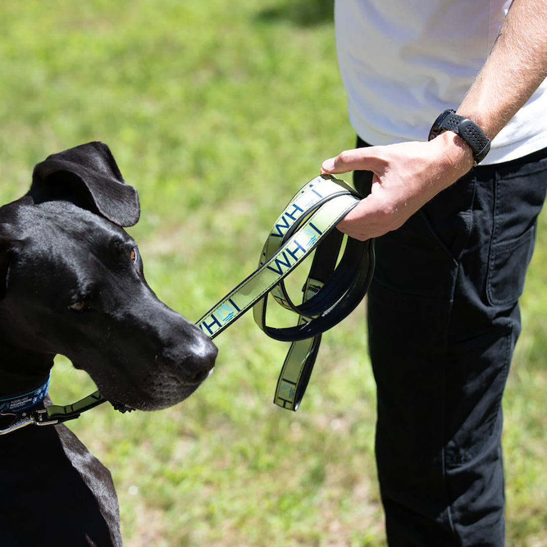 WHOI Dog Leash