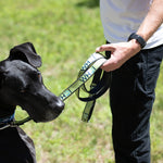 WHOI Dog Leash