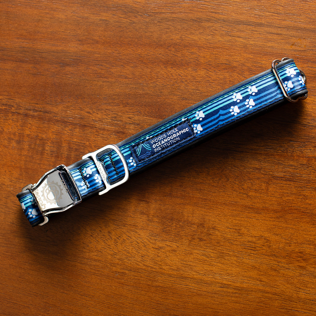 WHOI Dog Collar