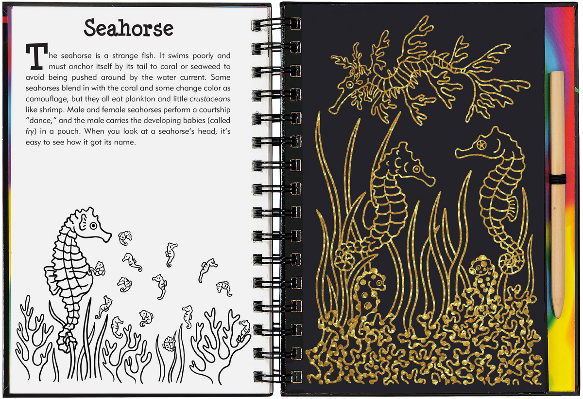 Coral Reefs Scratch and Sketch