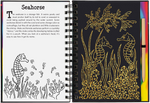 Coral Reefs Scratch and Sketch