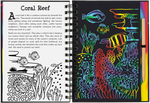 Coral Reefs Scratch and Sketch