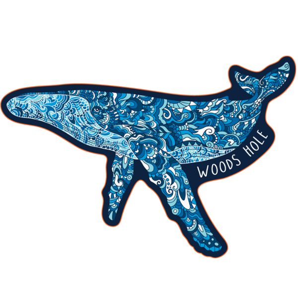 Doodle Whale Woods Hole Sticker