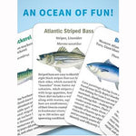 Go Fish! Martha's Vineyard Saltwater Fish