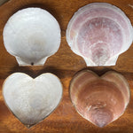 Sea Scallop Heart Trinket Dish