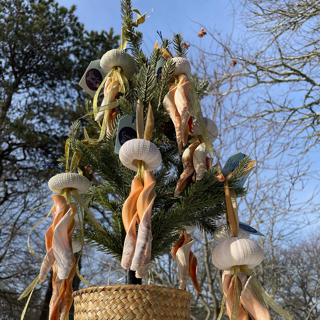 Shell Jellyfish Ornament