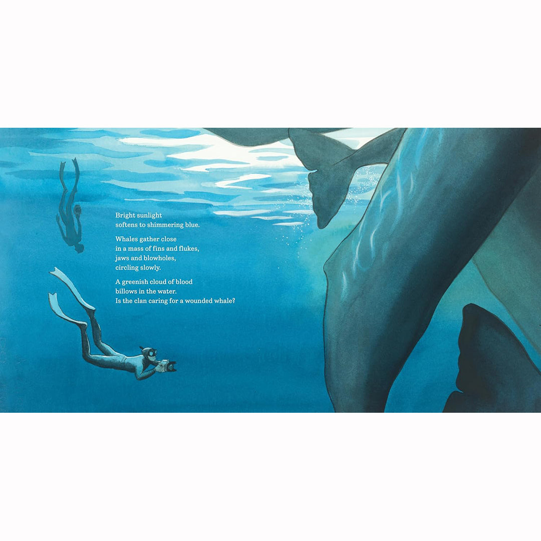 In the World of Whales