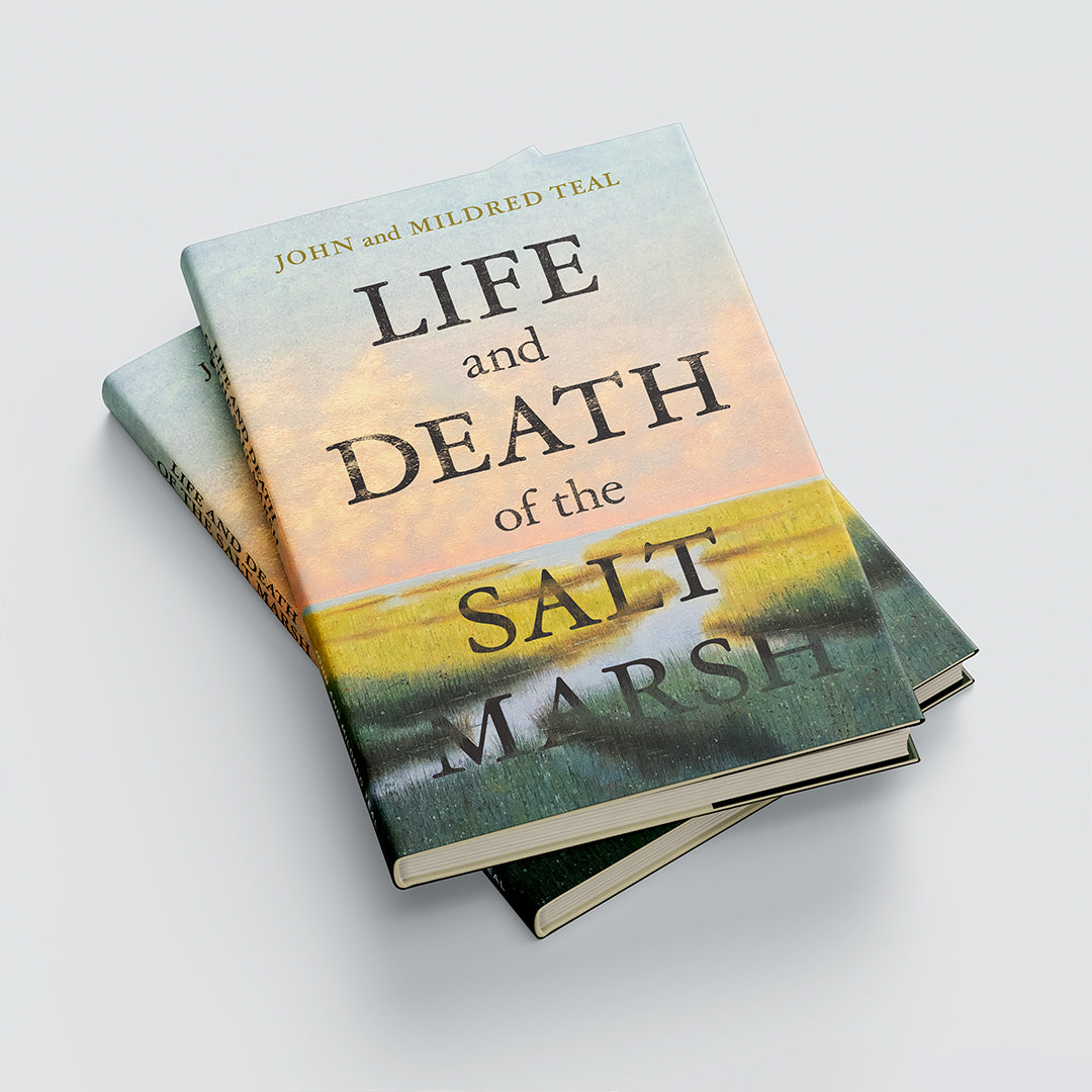 Life & Death of the Salt Marsh