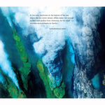 Life in Hot Water: Wildlife at the Bottom of the Ocean