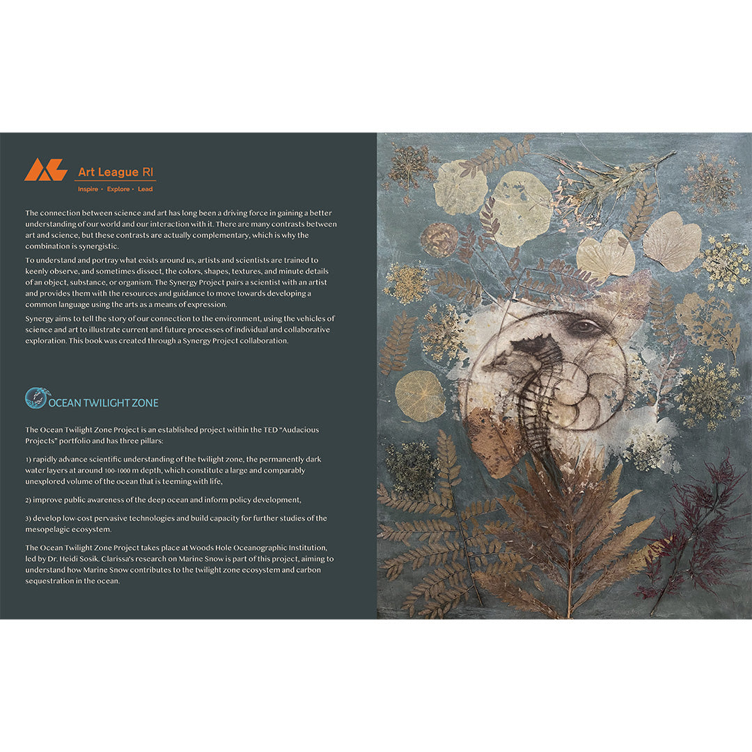 Marine Snow: a lyric meditation