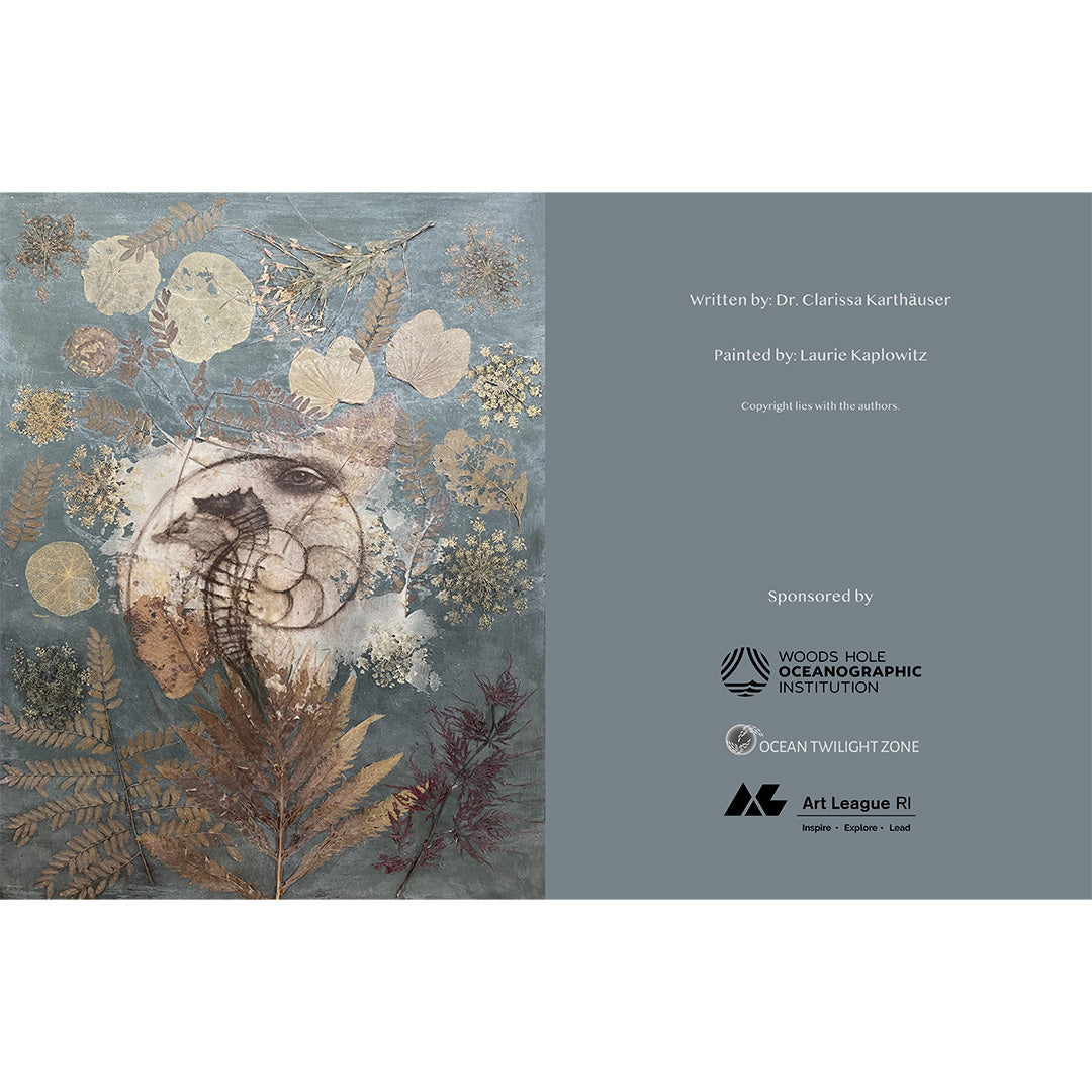 Marine Snow: a lyric meditation