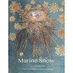 Marine Snow: a lyric meditation
