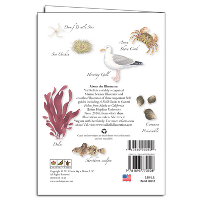 Tidepools of the Northeast Notecard