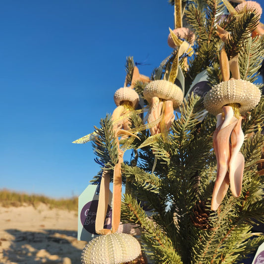 Shell Jellyfish Ornament
