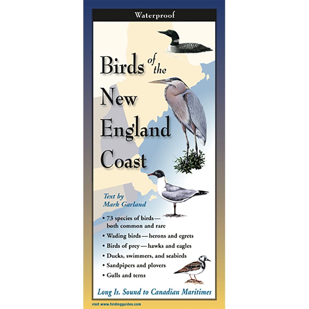 Birds of the New England Coast - Folding Guide