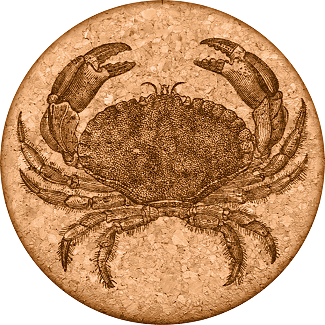 Graphic Cork Coasters