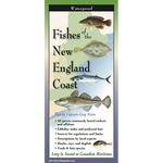 Fishes of the New England Coast - Folding Guide