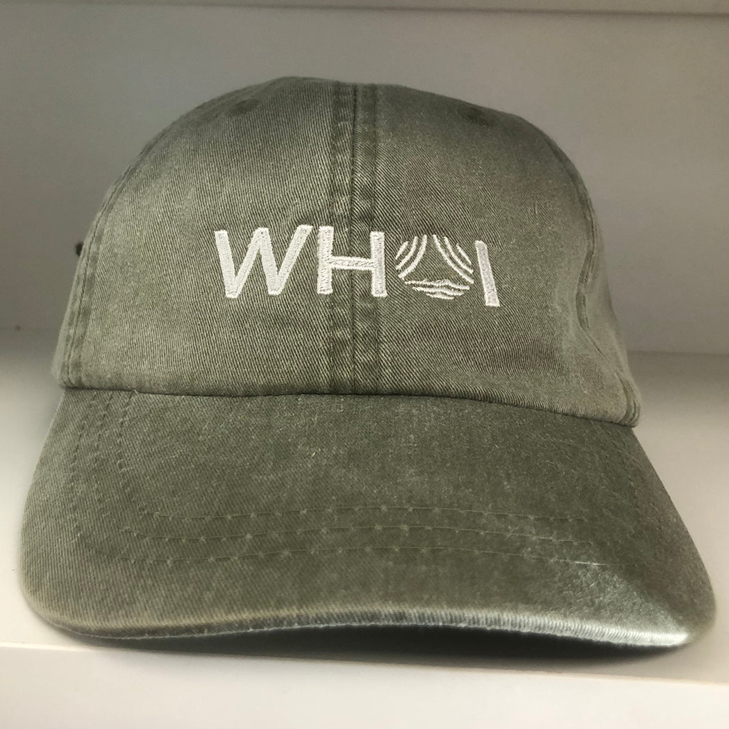 Veni Vidi Vici Baseball Hat – Herobuilt