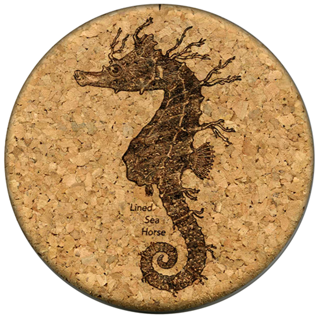Graphic Cork Coasters