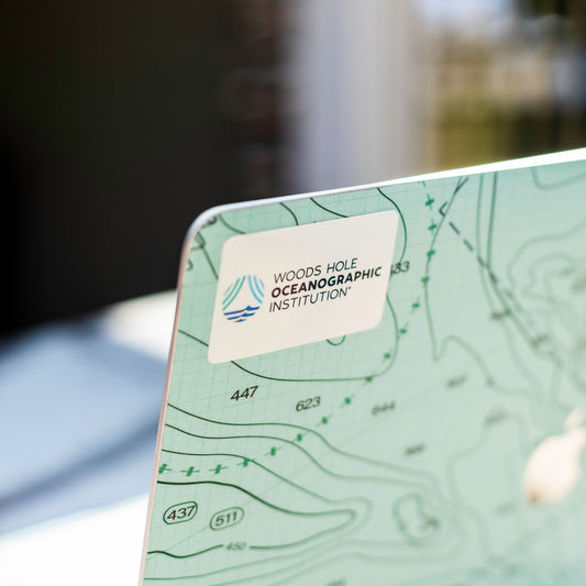 WHOI Logo Sticker-white back