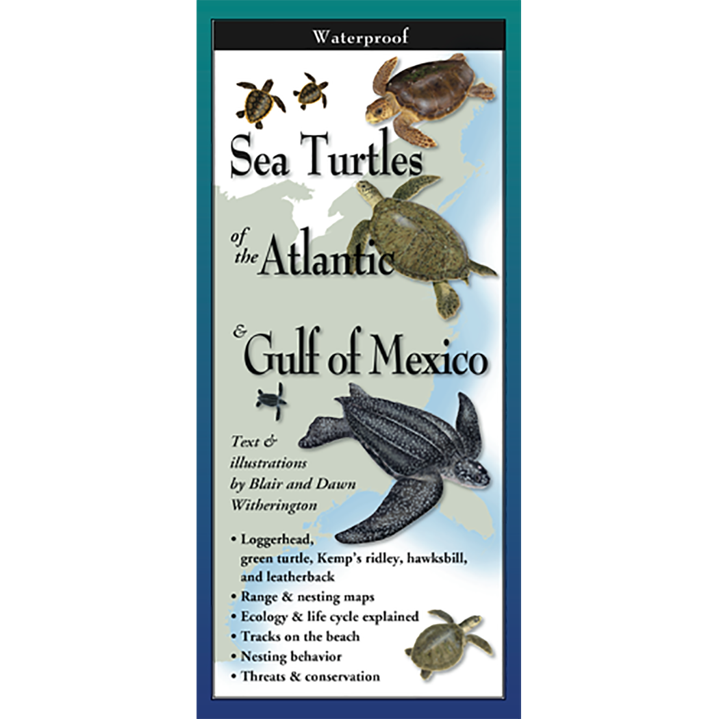 Sea Turtles of the Atlantic and the Gulf of Mexico - Folding Guide