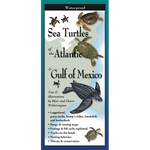 Sea Turtles of the Atlantic and the Gulf of Mexico - Folding Guide