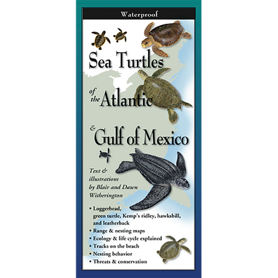 Sea Turtles of the Atlantic and the Gulf of Mexico - Folding Guide