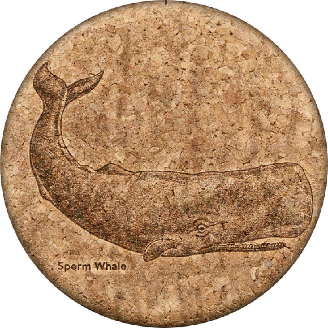 Graphic Cork Coasters