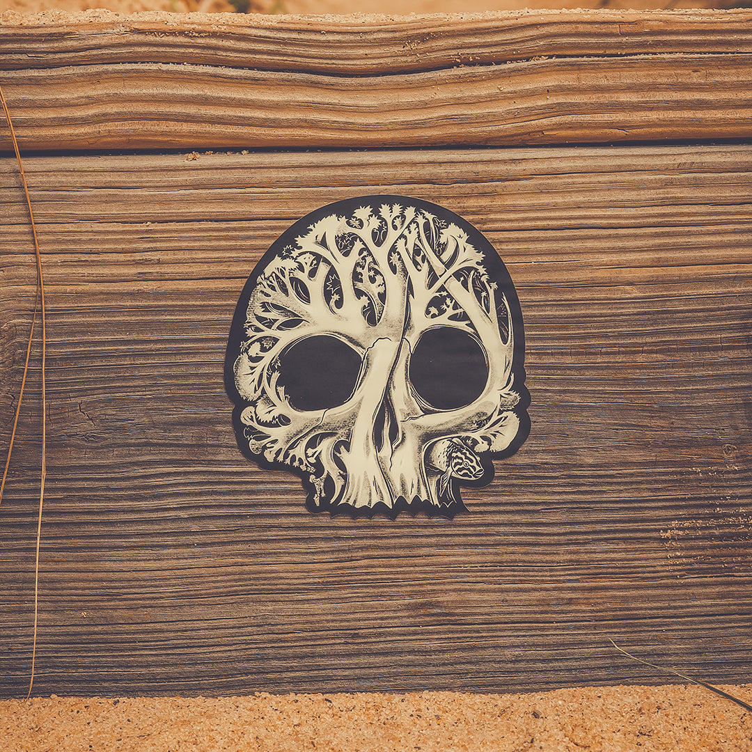WHOI X CC Coral Skull Sticker